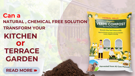 Turn Your Kitchen &amp; Terrace Garden into a Green Paradise with A2 Cow Vermicompost