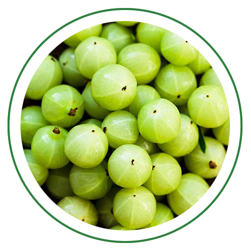 Amla