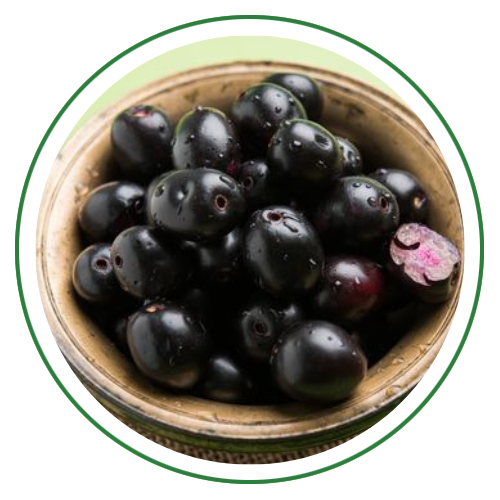 Jambu