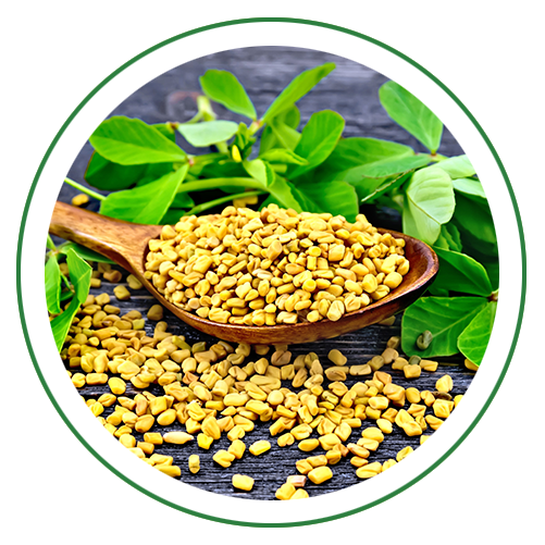 Methi