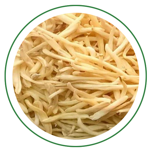 Safed Musli