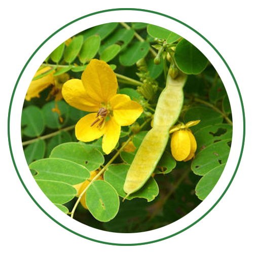 Senna