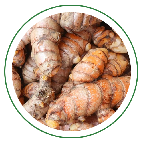 Turmeric