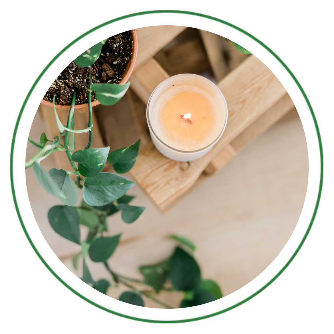 Home Wellness