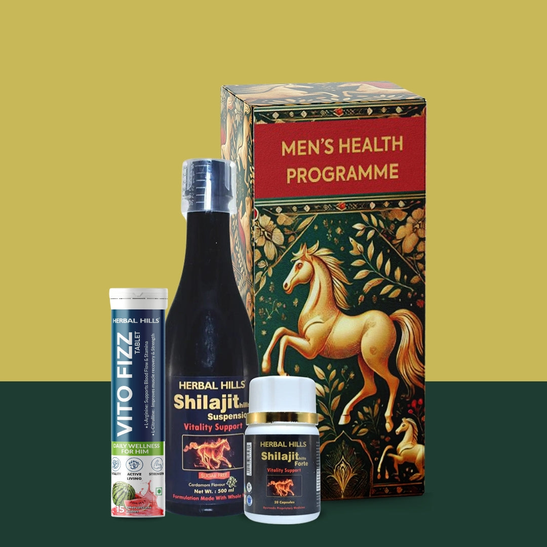 Men's Wellness Programme