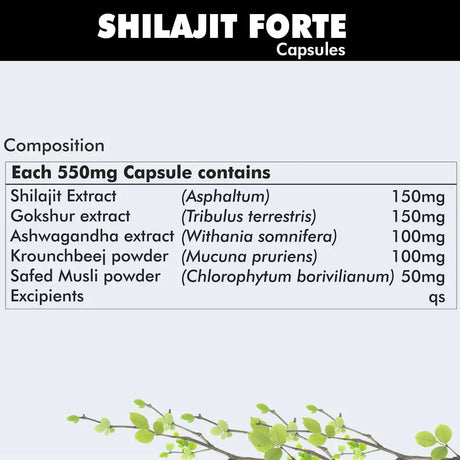 Shilajit Forte Capsule