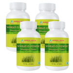 60 Counts (pack of 4)