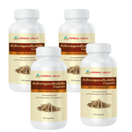 120 Count (Pack of  4)
