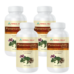 120 Capsule (pack of 4)