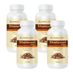 120 Tablets (pack of 4)