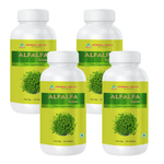 120 Counts (Pack of 4)