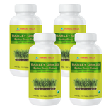 120 Count (Pack of 4)