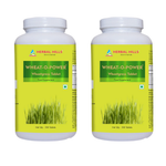 500 Counts (Pack of 2)