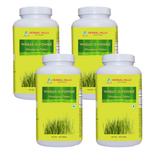 500 Counts (Pack of 4)