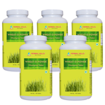 500 Counts (Pack of 5)