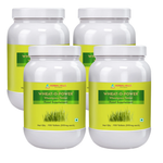 900 Counts (Pack of 4)