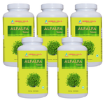 500 Counts (Pack of 5)