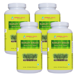 500 Count (Pack of 4)
