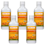(Pack of 5)